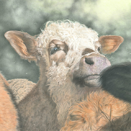 Buy a limited edition Gicle print by Mark Langley Animal Artist